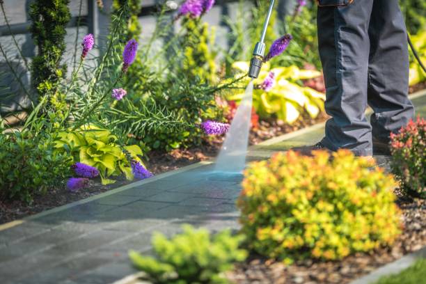 Best Pool Deck Cleaning  in Lexington, WA