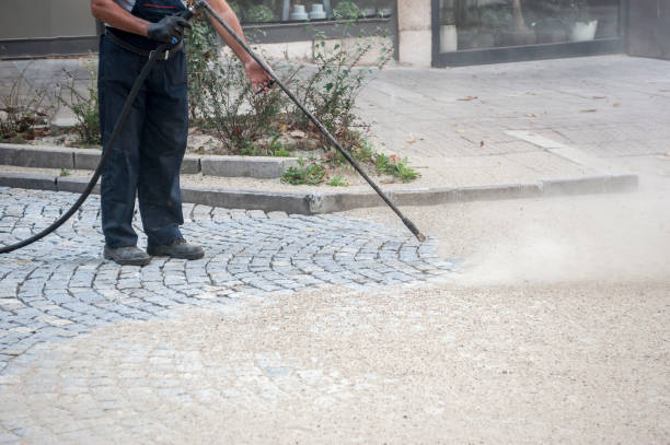 Best Building Exterior Washing  in Lexington, WA
